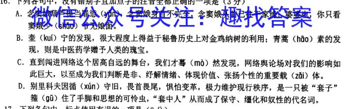 安徽省木牍大联2024年九年级下学期3月考试/语文