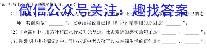 文博志鸿·2024年河北省初中毕业生升学文化课模拟考试（经典一）语文