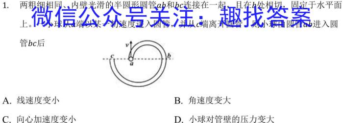 河南省高二驻马店市2023-2024学年度第二学期期终质量监测物理试卷答案