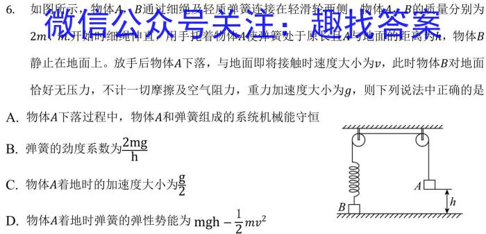 2025届高三总复习名师原创模拟(四)4物理试卷答案