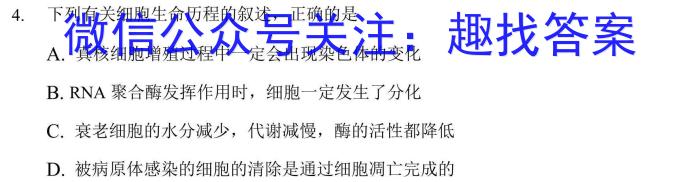 河南省濮阳市2024年高考模拟试题（一）生物