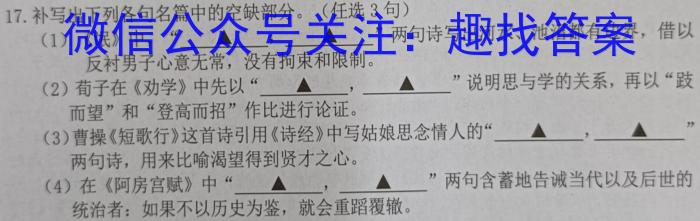 安徽省安师联盟2024年中考权威预测模拟试卷（四）语文