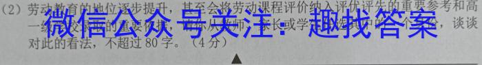 安徽省合肥市经开区2024年九年级学情调研试卷（二）语文