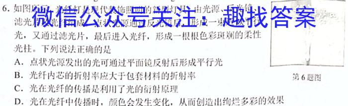 陕西省2024年九年级教学素养摸底测评5LR物理试卷答案