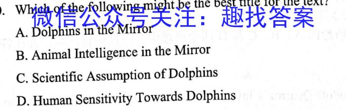 甘肃省酒泉市2023-2024学年高二下学期期中考试英语