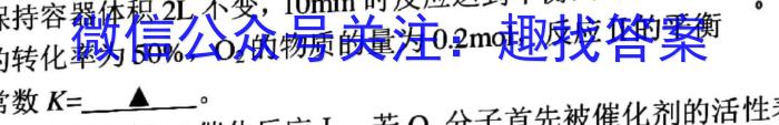 2024届陕西省渭南市大荔县高三第四次模拟考试化学