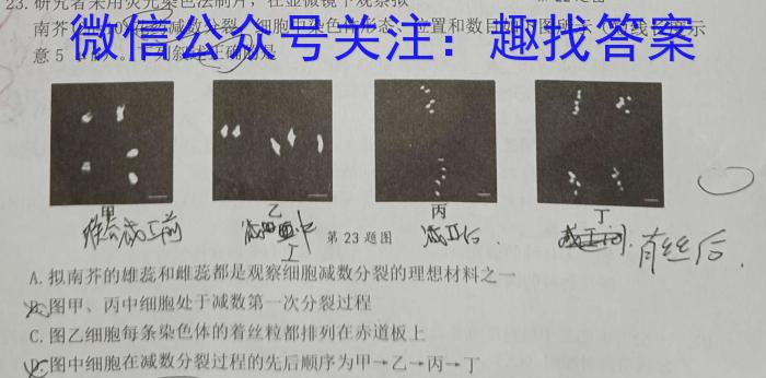 贵州省高一黔西南州2023-2024学年度第二学期期末教学质量监测生物学试题答案