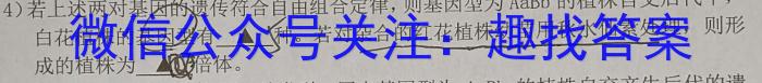 2024年普通高等学校招生模拟考试(554C)生物学试题答案