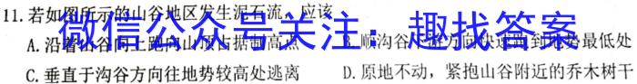 安徽省宿州市萧县城东初级中学2024-2025学年度第一学期七年级错题练（二）地理.试题