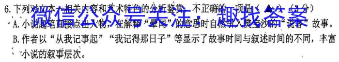 陕西省2024年九年级仿真模拟示范卷 SX(六)6语文