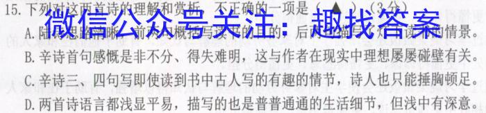 河南省郸城县2024年九年级第一次模拟试卷/语文