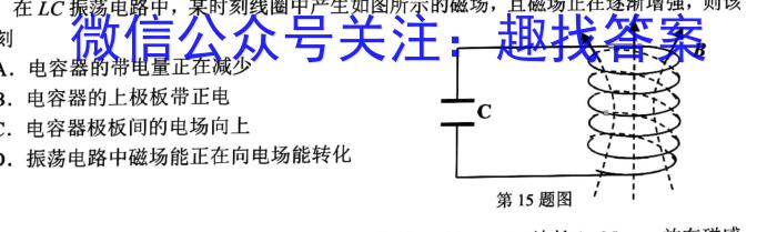 2024届江西红色十校2月联考物理试卷答案