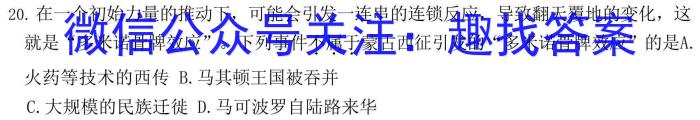 陕西省蒲城县2024年九年级对抗赛A历史试卷答案