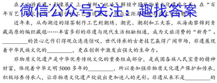 安徽省2024年初中学业水平考试冲刺(一)1语文