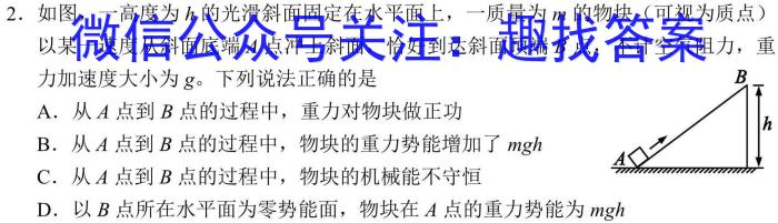 2024年河北省初中毕业生升学文化课模拟考试（解密二）物理