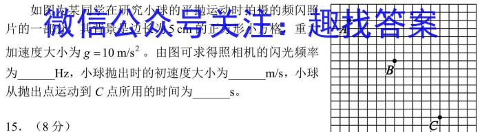 2024年广西初中学业水平考试模拟卷(二)物理`