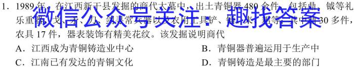 江西省崇义县某校2023-2024学年九年级开学作业效果检测一历史试卷答案