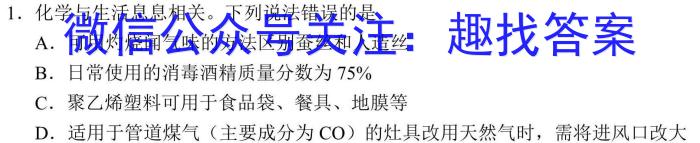 q2024年平顶山市中招学科适应性测试试卷化学