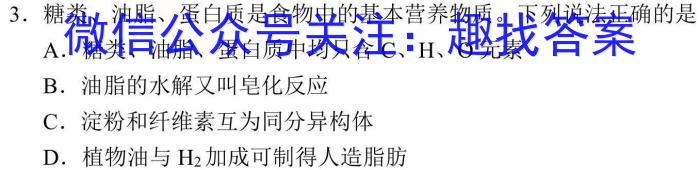 32024年河南省普通高中毕业班高考适应性练习(3月)化学试题