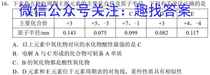 名校计划 2024年河北省中考适应性模拟检测(猜押一)化学