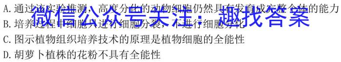 2024-2025学年安徽省县中联盟高三上学期9月联考(5009C)生物学试题答案