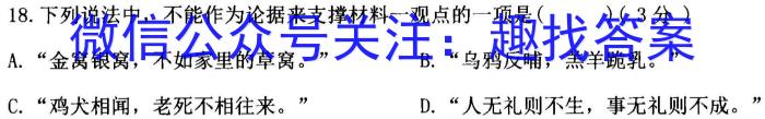 2024届齐鲁名师联盟高三质量检测联合调考(2024.05)语文