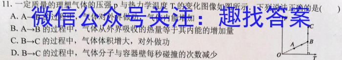 山东省2023-2024学年度高二质量检测联合调考(24-423B)物理