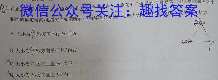 河北省2023-2024学年高二4月联考(信封)物理试卷答案