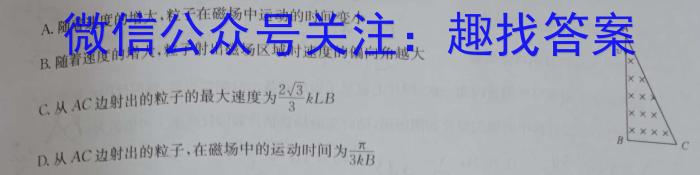 河南省2023-2024学年九年级第二学期学情分析二物理试题答案