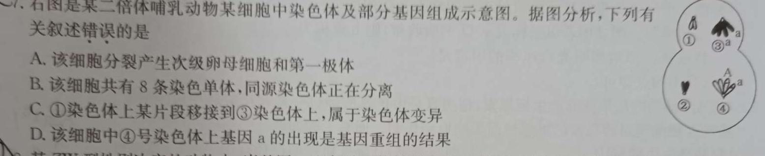 衡水金卷·先享联盟2024届三年级5月份大联考（HB）生物学部分