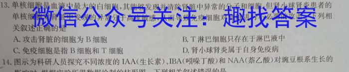 ［河北大联考］河北省2024-2025学年高二年级上学期9月联考（05）生物学试题答案