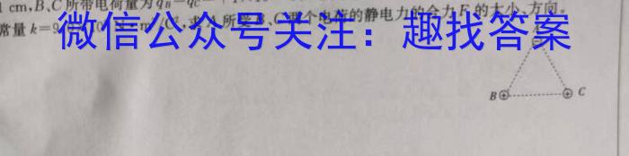 江西省高二鹰潭市2023-2024学年度下学期期末质量检测物理试卷答案