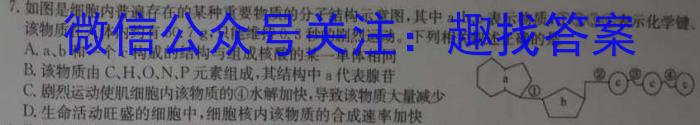 安徽省2023-2024学年度宿州市第二学期期末质量检测八年级生物学试题答案