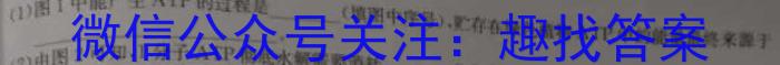 甘肃省2024-2025学年度第一学期高三开学质量检测卷生物学试题答案