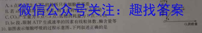 2024届河南省九年级模拟测评卷(二)生物学试题答案