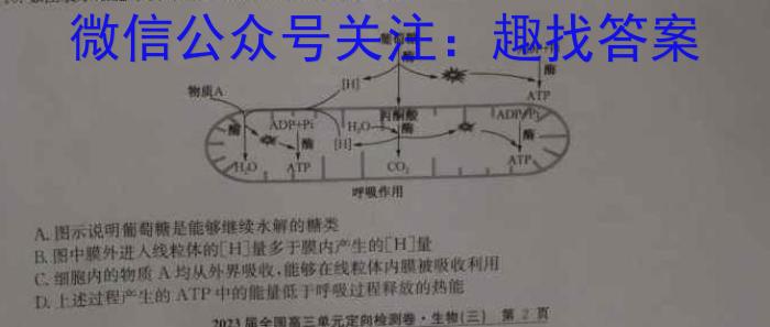 2024年陕西省初中学业水平考试 YJ③生物学试题答案