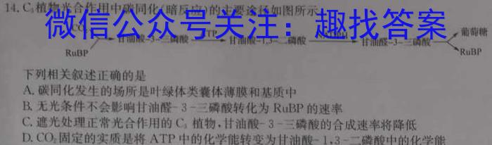 湖北省"腾·云"联盟2023-2024学年高一年级下学期5月联考生物学试题答案