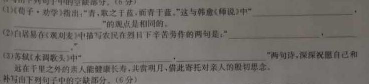 [今日更新]2024届河南省中考导向总复习试卷（二）语文试卷答案