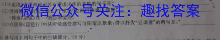 2024届湖北省高考适应性训练(一)/语文