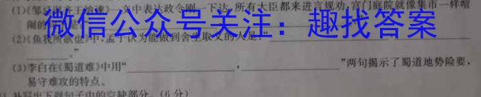 2024届河南省中考导向总复习试卷考前信息卷(二)语文