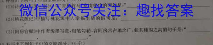 邕衡金卷·名校联盟柳州高中、南宁三中2024届一轮复习诊断性联考（2月）/语文