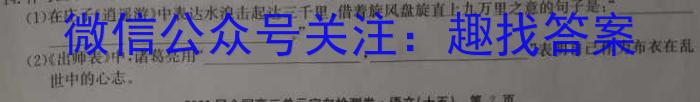 湖北省2024年普通高等学校招生统一考试新高考备考特训卷(七)7语文