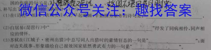 学林教育 2024年陕西省初中学业水平考试·名师导向模拟卷(二)2/语文