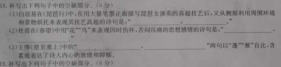 [今日更新]2024年四川省大数据精准教学联盟2021级高三第一次统一监测(2024.2)语文试卷答案