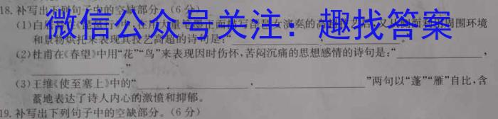 安徽省2024年八年级考试（无标题）语文