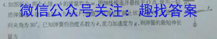 天一大联考 2024年普通高等学校招生全国统一考试预测卷(5月)物理试题答案