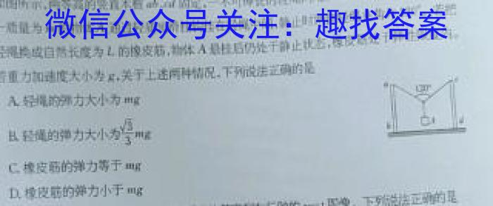 国考1号17月卷高中2025届毕业班基础知识滚动测试(一)物理试卷答案