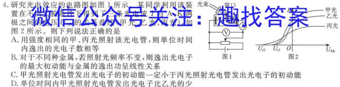 安徽省六安皋城中学2023-2024学年度春学期九年级定时作业一物理试题答案