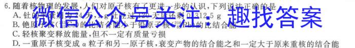 (首页无标题)2024年安徽省贵池县八年级下学期期末考试物理试题答案