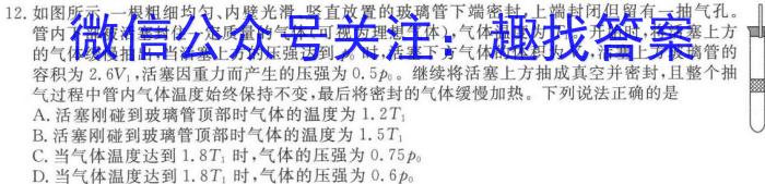 炎德·英才大联考 2024年高考考前仿真联考三物理`